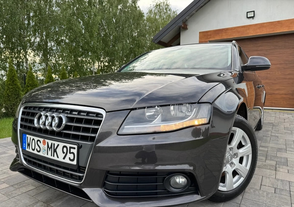 Audi A4 cena 24900 przebieg: 222534, rok produkcji 2008 z Otmuchów małe 781